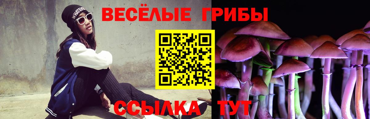 Псилоцибиновые грибы мицелий  магазин    Пыть-Ях  Вход с VPN 